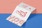 Pineapple Type Family, a Font by Types and Boats (Thumbnail 1 of 11)