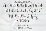 Diligent Christmas, a Handwritten Font by FreshTypeINK (Thumbnail 8 of 8)