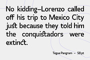 SS Tegua - Modern Sans Font, a Font by Typocracy Studio (Thumbnail 5 of 15)