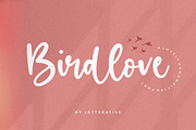 Birdlove - Handwritten Font, a Script Font by Letterative Studio (Thumbnail 1 of 7)