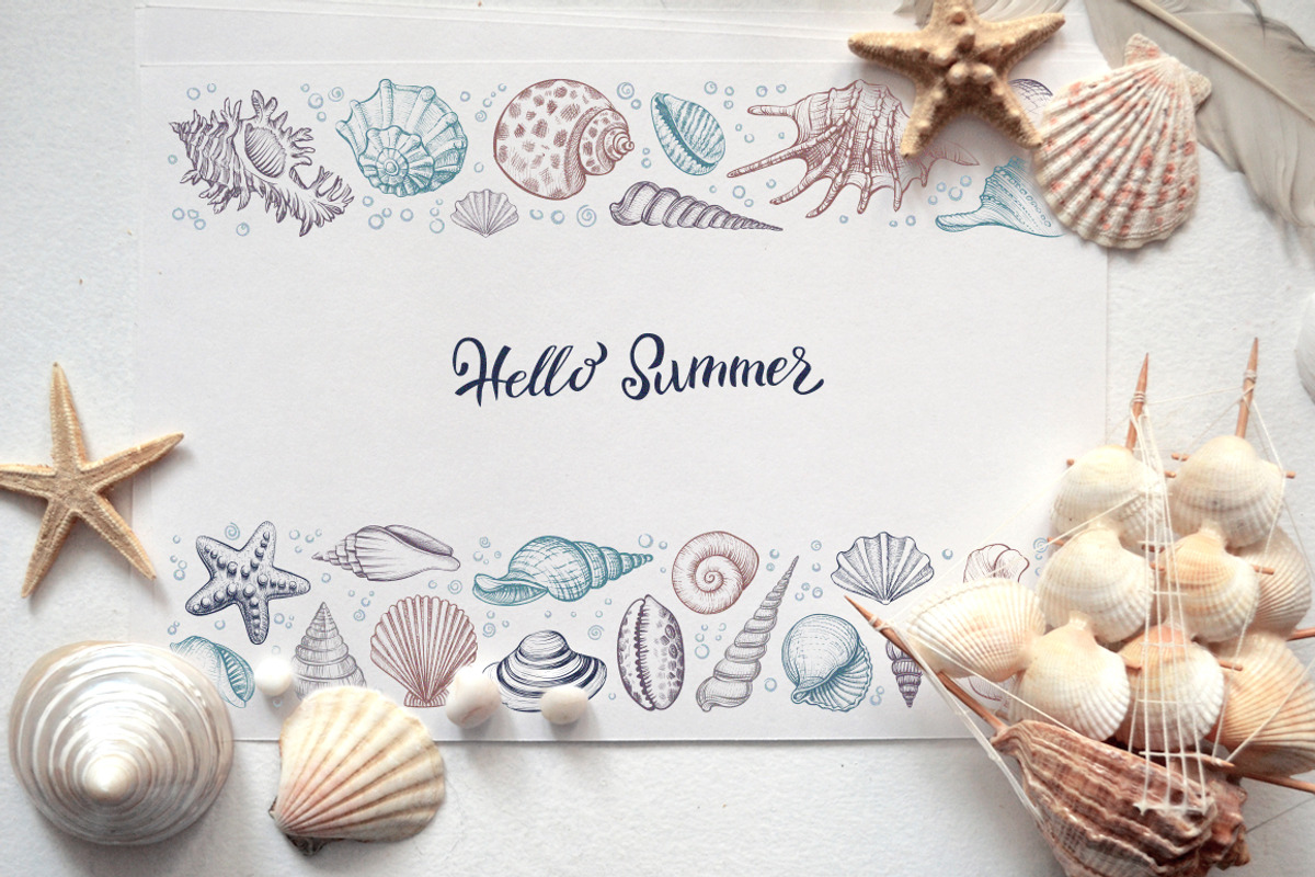 Sea Shells Collection, a Food Illustration by Aquatinta (Photo 9 of 9)