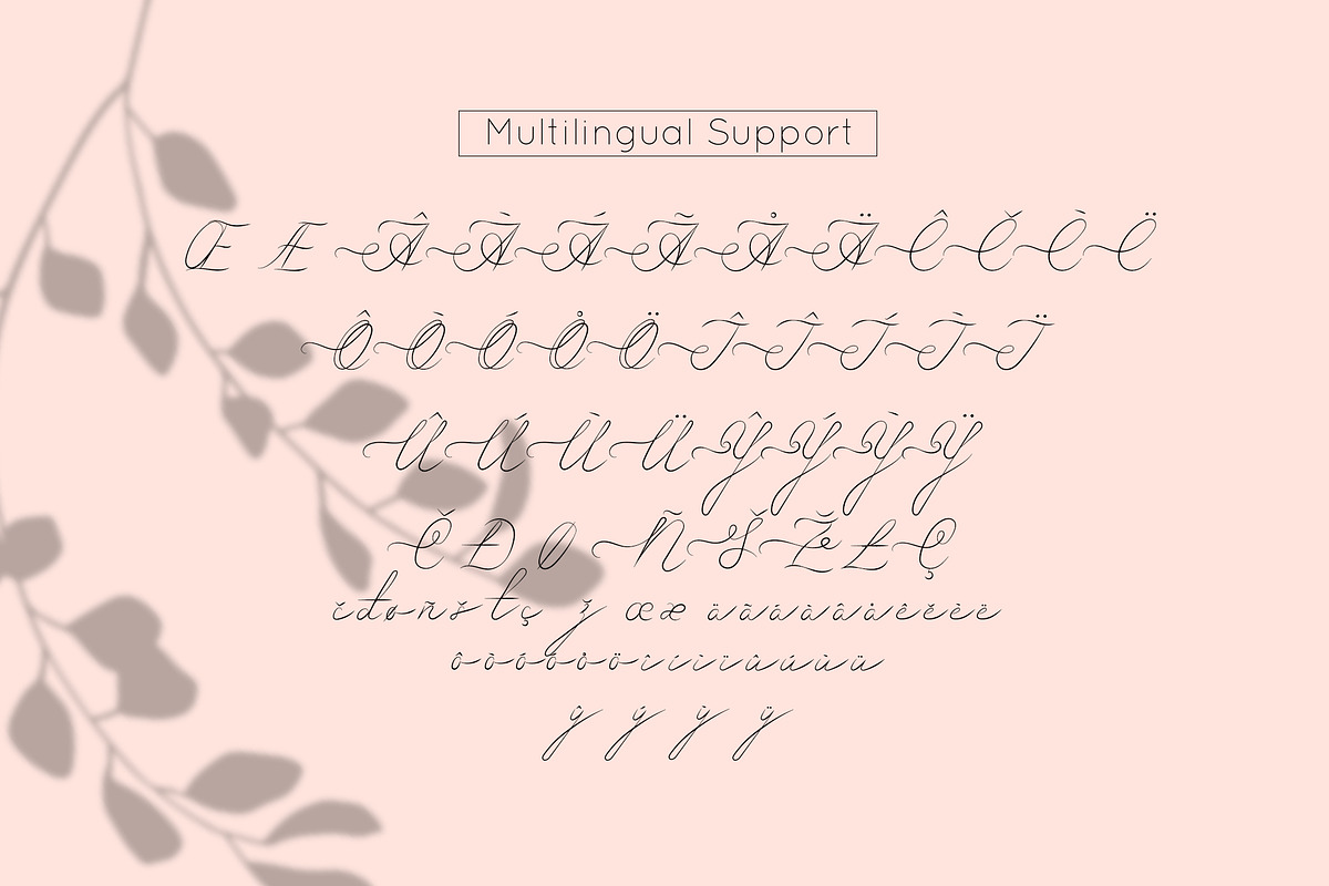 Rio Love | Signature Script Font, a Script Font by Anna Zakharchenko (Photo 11 of 11)