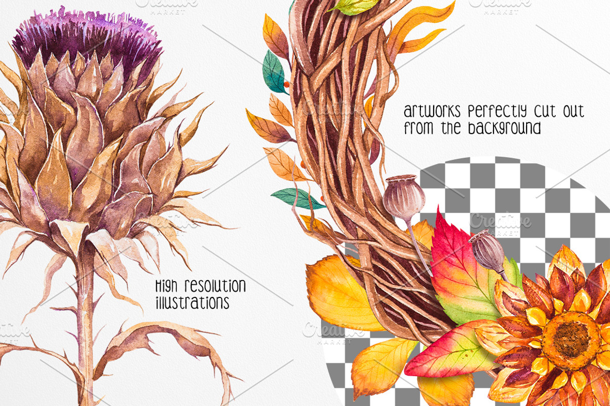 Fall collection. Watercolor., a Decorative Illustration by AlexGreenArt (Photo 10 of 11)