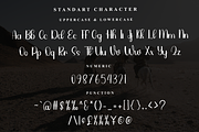 Vintage Amazing, a Handwritten Font by FreshTypeINK (Thumbnail 4 of 7)