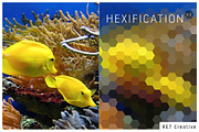 Hexification v1, an Action Add-On by RE7 Creative (Thumbnail 3 of 3)