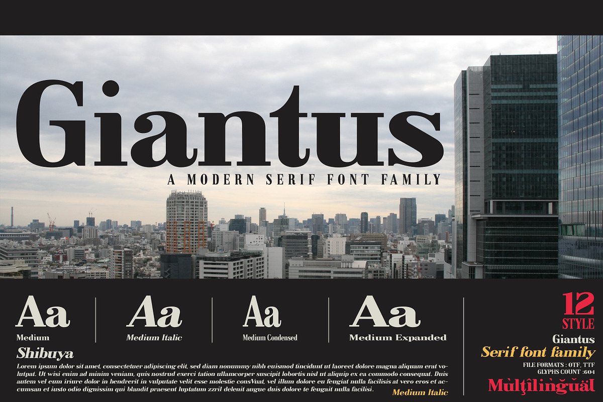 Giantus - Serif font family, a Serif Font by Artistic & Unique (Photo 6 of 13)