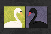 White and Black Swan Portraits, an Animal Illustration by PsychocheArt (Thumbnail 1 of 4)