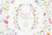 Watercolor Flower -PASTEL WILDFLOWER, a Decorative Illustration by Beigetime (Thumbnail 1 of 15)