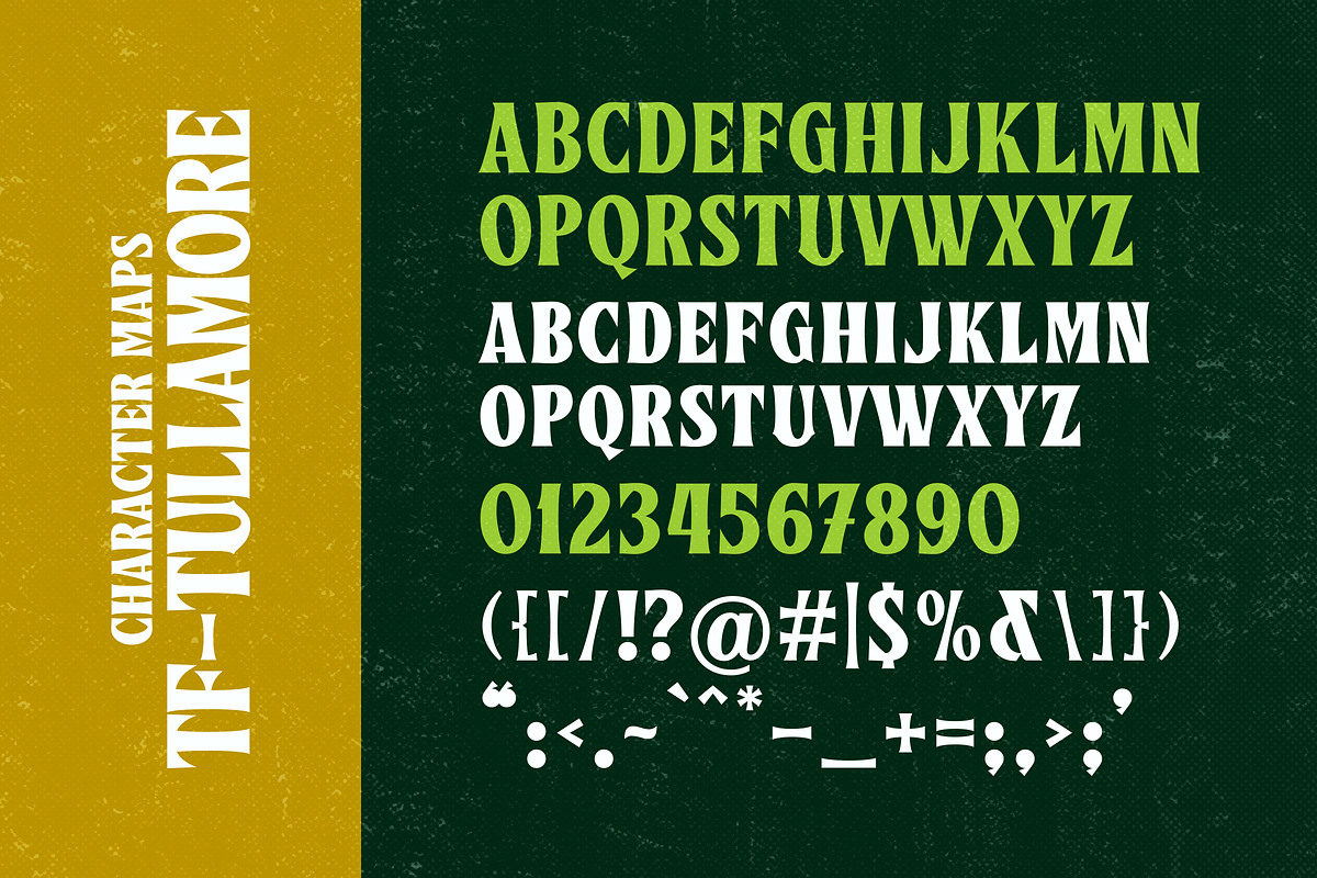 Tullamore | Classic Serif Font, a Serif Font by Twicolabs Fontdation (Photo 6 of 6)