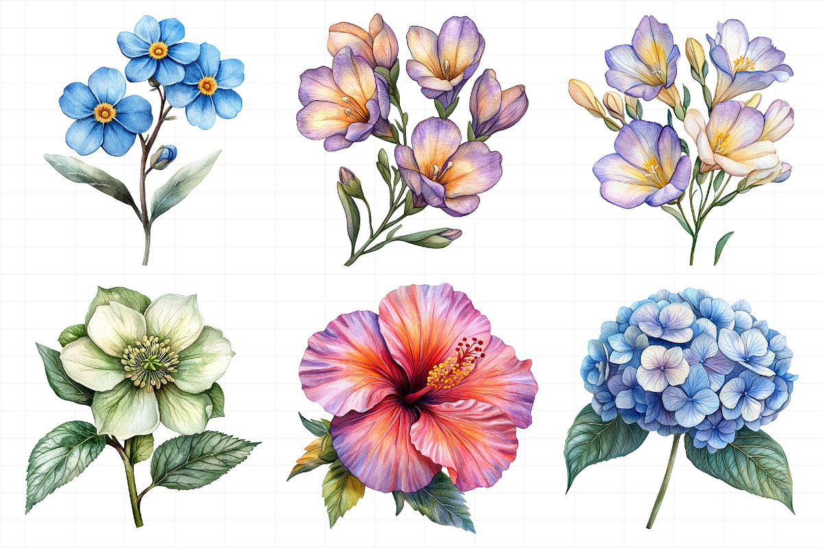 Watercolor Floral Clipart Flower, an Illustration by Daily.Designs (Photo 4 of 8)