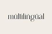 Diastema – Modern Ligature Typeface, a Serif Font by Issam Type (Thumbnail 9 of 14)