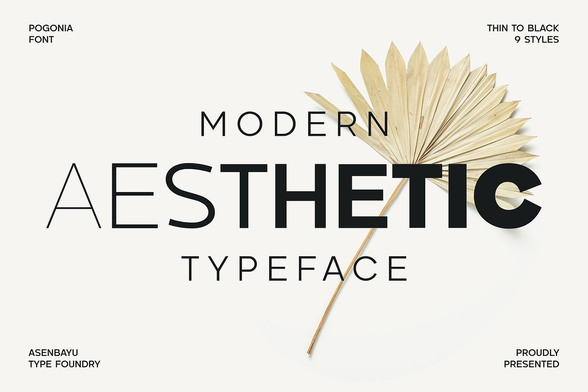 Pogonia - Modern Font Family, a Sans Serif Font by Asenbayu (Photo 3 of 14)
