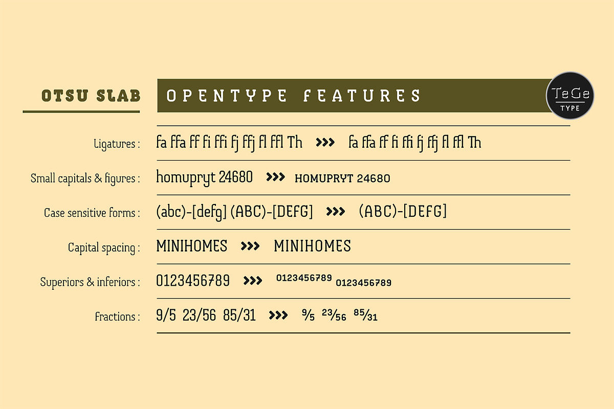 Otsu Slab, a Slab Serif Font by TeGeType foundry (Photo 5 of 6)