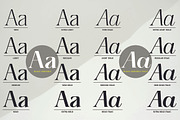 Refhiza, a Serif Font by TM Type (Thumbnail 3 of 12)