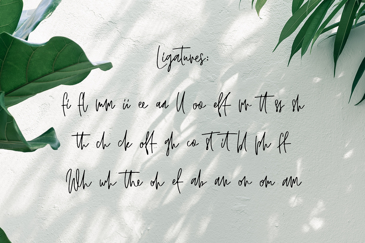 JUSTER SCRIPT preview 6