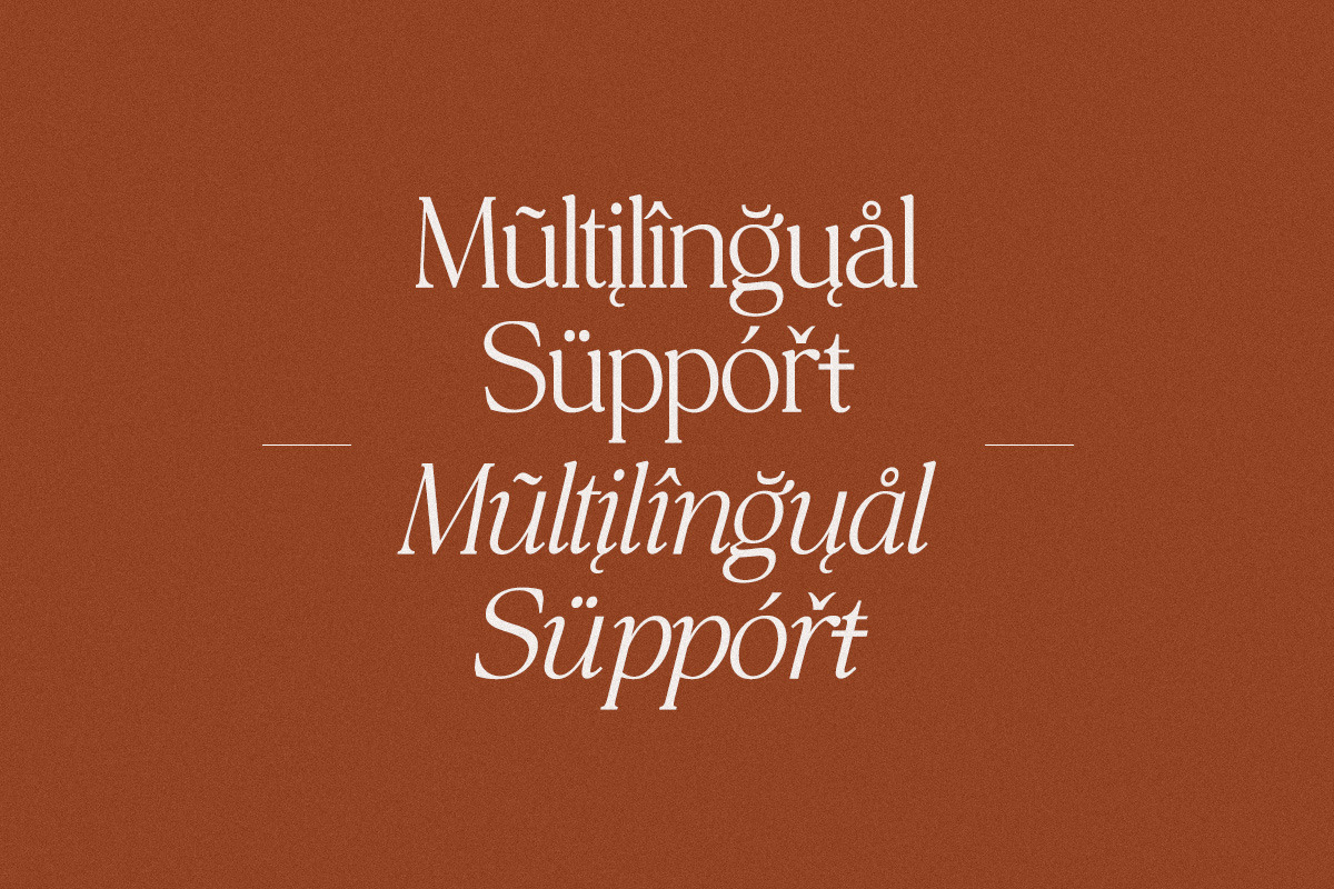 The Bilstein Editorial, a Serif Font by Pista Mova (Photo 9 of 20)