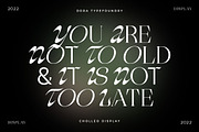 Cholleo Display, a Serif Font by Dora Typefoundry (Thumbnail 15 of 18)