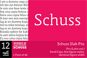 SchussSlabPro No.12 (1 Font), a Slab Serif Font by typic schuss (Thumbnail 1 of 7)
