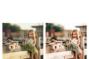 10 Homely Lightroom Presets, a Preset Add-On by MockTurtleStudio (Thumbnail 6 of 8)