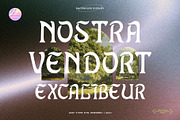 Backhouse Display Font, a Sans Serif Font by Any-Type® Foundry (Thumbnail 10 of 11)