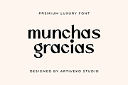 Vengance Luxury Sans Serif, a Sans Serif Font by Artiveko (Thumbnail 6 of 6)