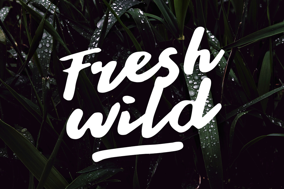Stay Young - A Display Font preview 3