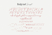 Balgend - Elegant Font Duo, a Serif Font by Typebae (Thumbnail 9 of 10)