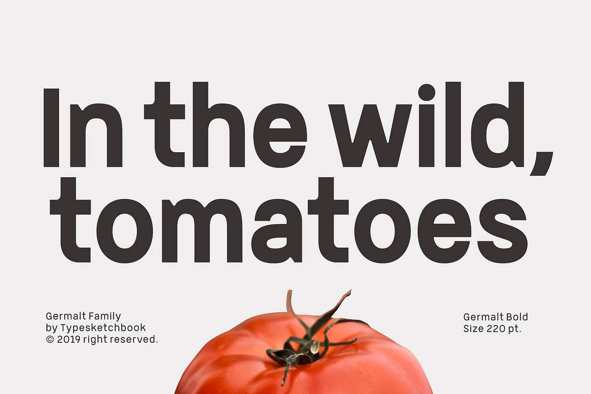 Germalt, a Sans Serif Font by Typesketchbook Foundry (Photo 4 of 7)
