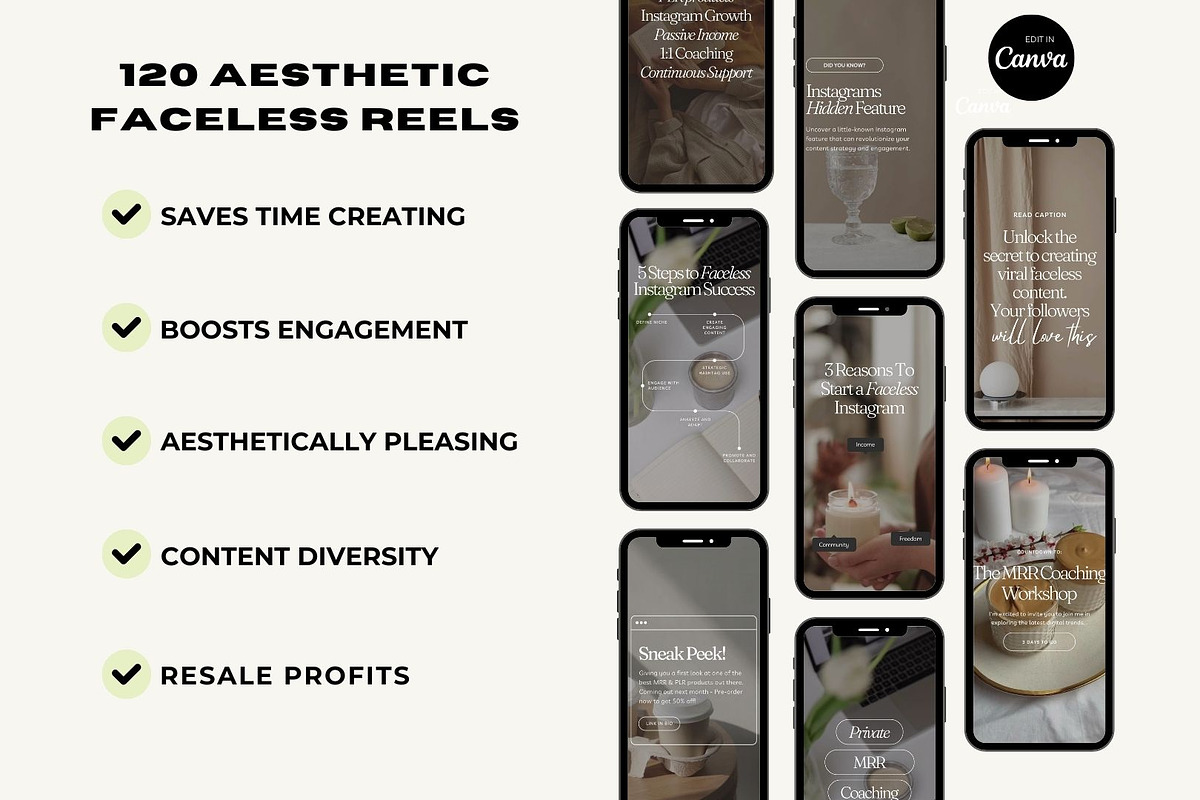 PLR MRR Faceless Reels Resell Rights, a Social Media Template by The Thrive Society (Photo 2 of 9)