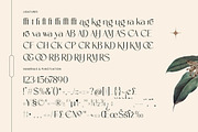 Amira Monte Elegant Display Font, a Sans Serif Font by timelesstype.co (Thumbnail 18 of 20)