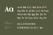Ahiore - Retro Serif, a Serif Font by Imoodev (Thumbnail 5 of 5)