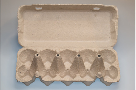 Empty paper carton box for eggs on, a Food & Drink Photo by COLORFUL