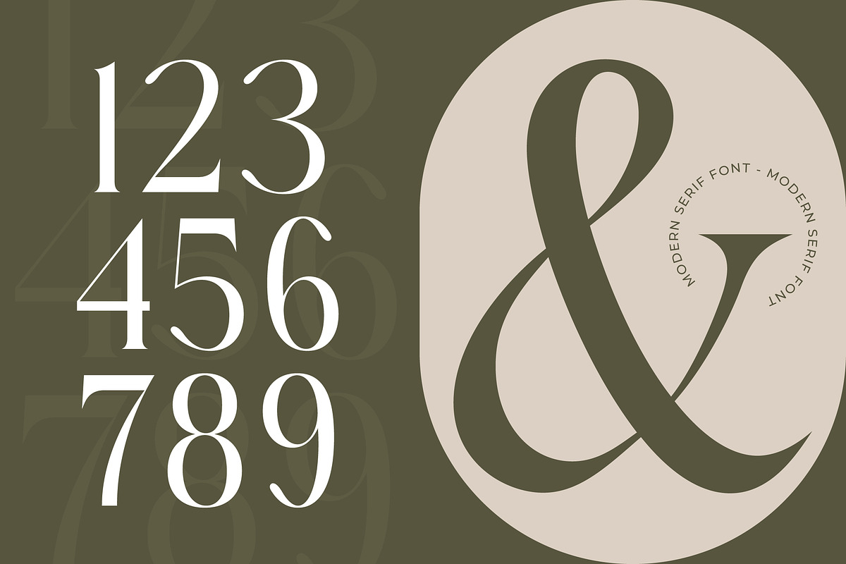 Mezaira Modern Serif Font, a Serif Font by timelesstype.co (Photo 7 of 20)