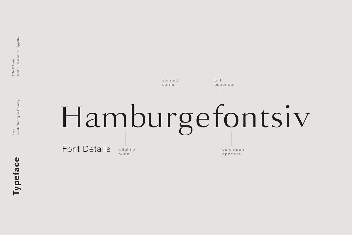Lara - Sophisticated Serif Typeface preview 3