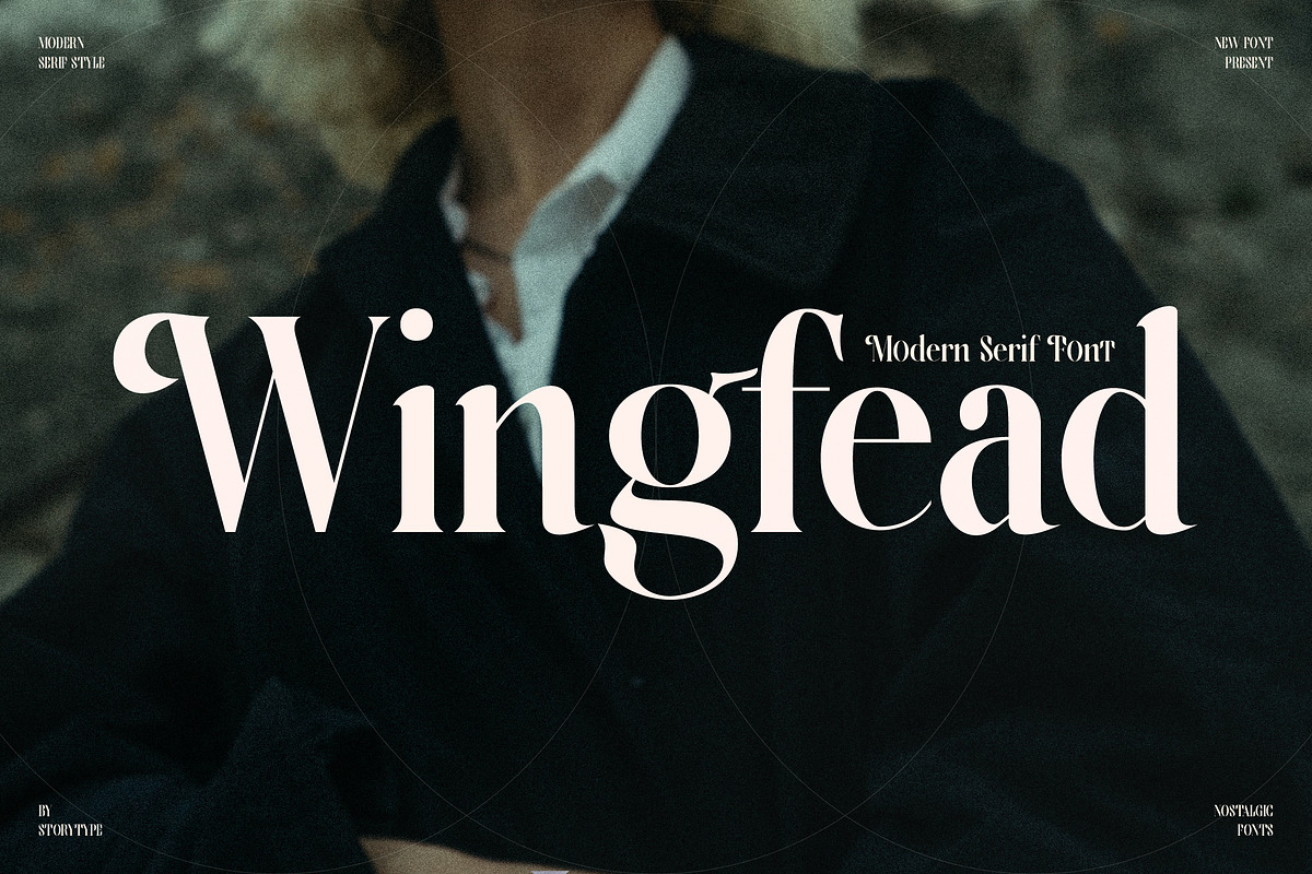 Wingfead Modern Serif Font, a Serif Font by Storytype Studio (Photo 1 of 15)