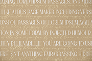 Rematho Klorofiland Duo Font, a Serif Font by Storytype Studio (Thumbnail 5 of 15)