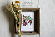 Berries hand drawn elements, an Object Graphic by ArtSpotVeronika (Thumbnail 4 of 7)