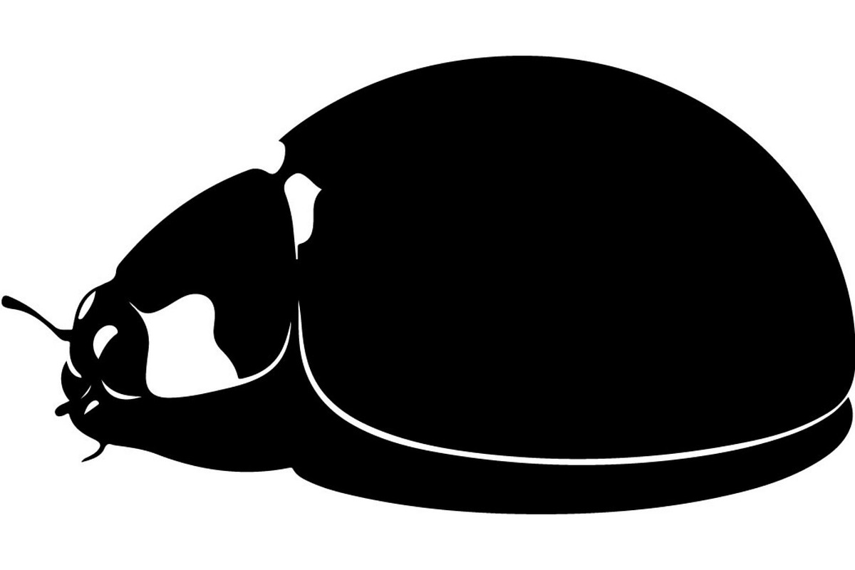 Ladybug Silhouette, an Object Graphic by Designer_Momina (Photo 17 of 20)