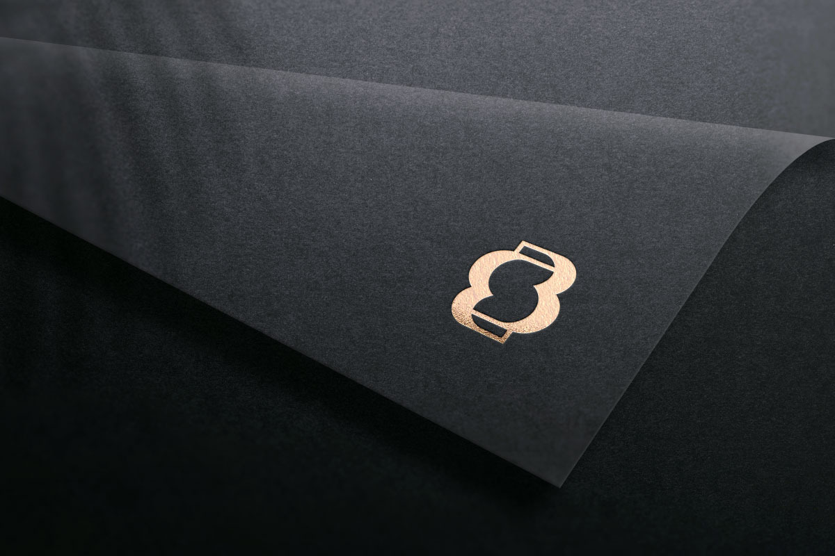 Minimal B & S Monogram Logo Design preview 4