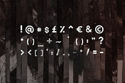Etna Sans Serif Typeface, a Sans Serif Font by Wild Ones (Thumbnail 9 of 9)