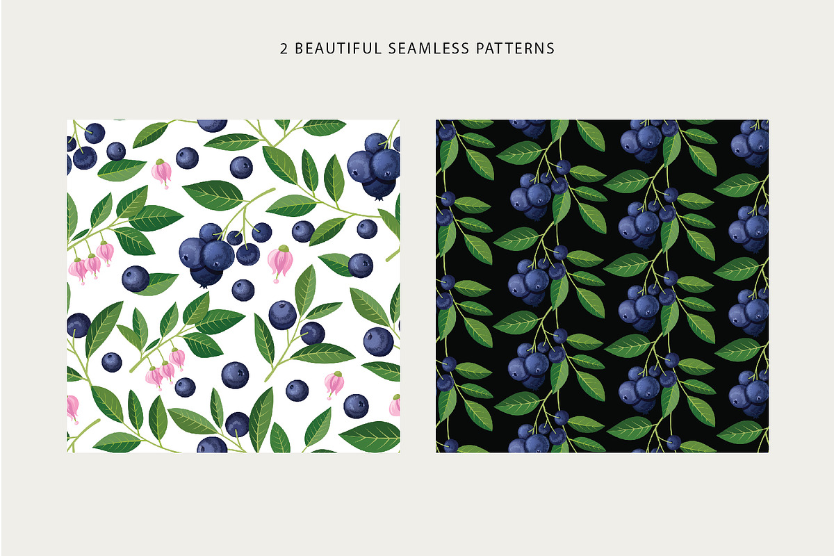 Delicious blueberries. Vector set., a Graphic by natamastery (Photo 3 of 7)