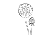 Lilies and Lotus Florals, an Object Graphic by VictoriaKStudio (Thumbnail 6 of 10)
