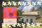 Coral – Hand Drawn Coral Forms, a Decorative Illustration by Madeline ODonoghue Design (Thumbnail 12 of 15)