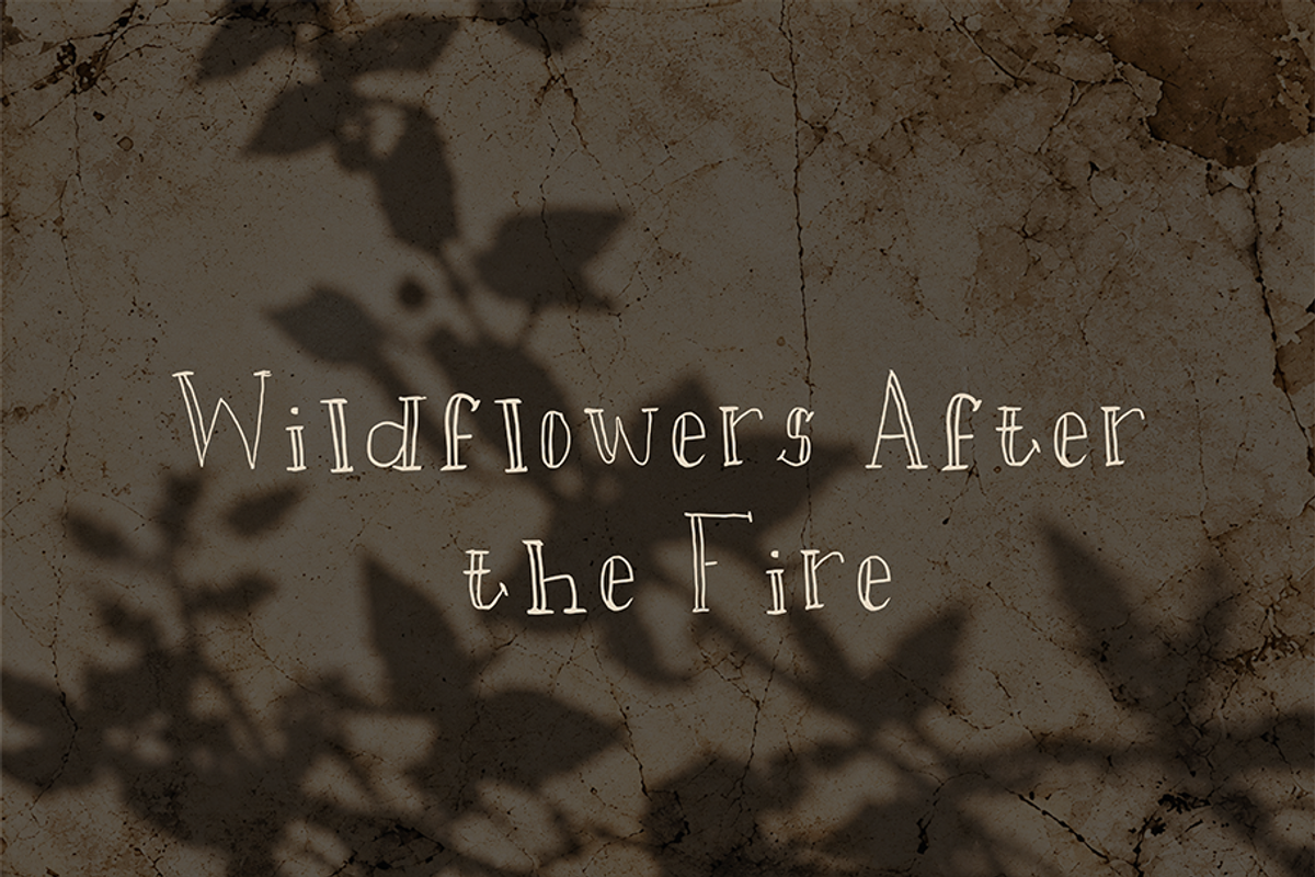 Tall Tale - Handwritten Font, a Handwritten Font by Aurum Creative (Photo 6 of 7)