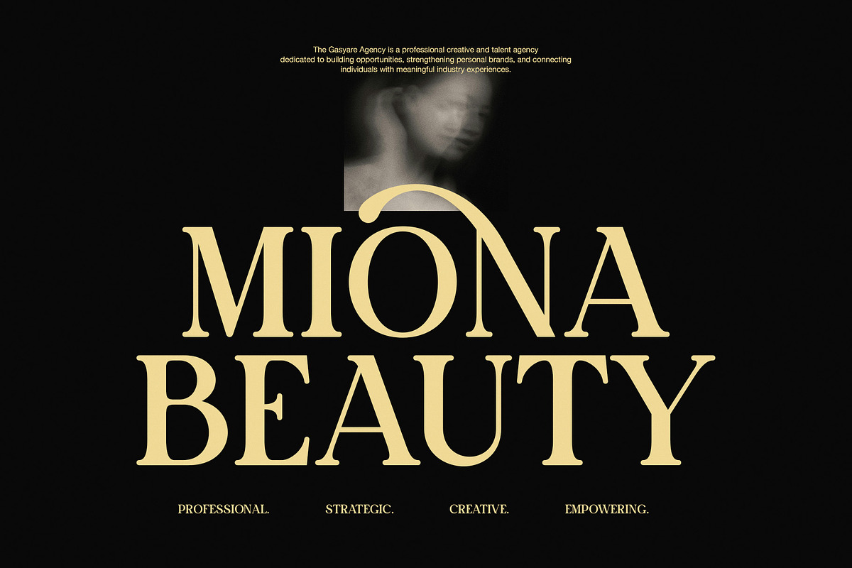 Chiko Elegant Ligature Serif Font, a Serif Font by Perfectype (Photo 2 of 8)