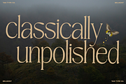 TAN-BELMONT-HANDWRITTEN SERIF, a Serif Font by TanType (Thumbnail 8 of 10)