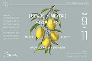 60% OFF Bourton Text Narrow Typeface, a Sans Serif Font by Kimmy Design (Thumbnail 15 of 18)