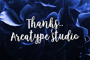 Anindita Script, a Script Font by Areatype (Thumbnail 10 of 10)