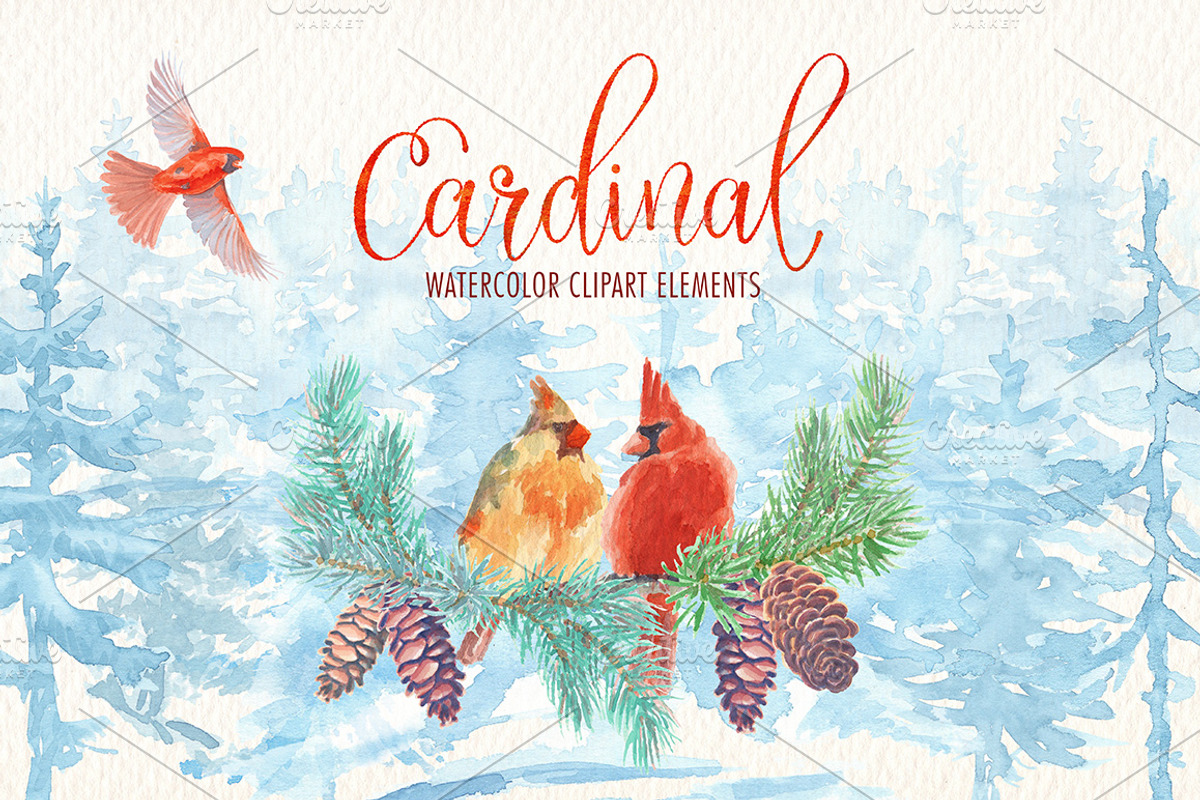 Cardinal bird watercolor clipart set, an Illustration by Art & Things (Photo 3 of 6)