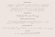 Clarance Nevertary, a Script Font by Shopifont.co (Thumbnail 12 of 13)